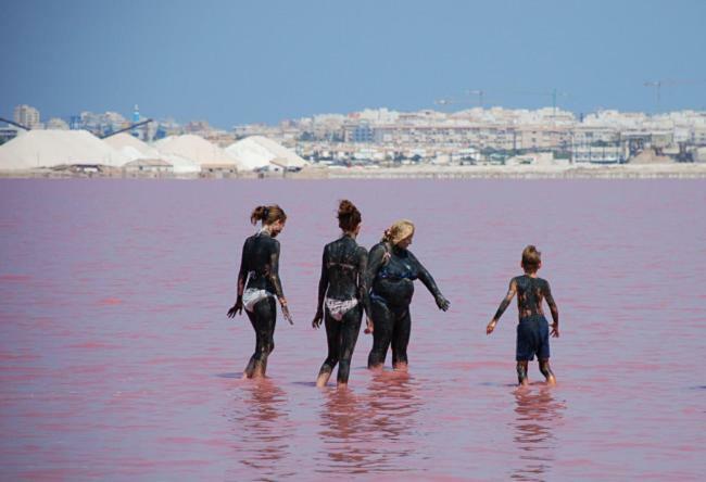 Torrevieja Apartment Dış mekan fotoğraf