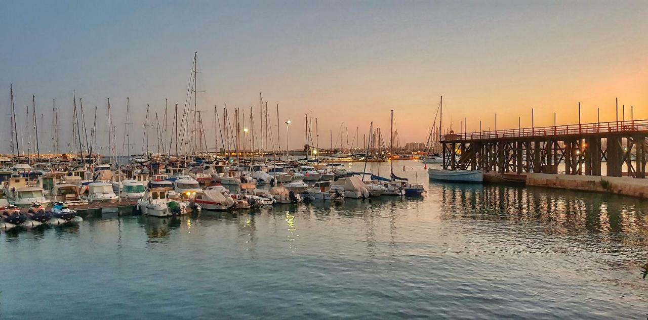 Torrevieja Apartment Dış mekan fotoğraf